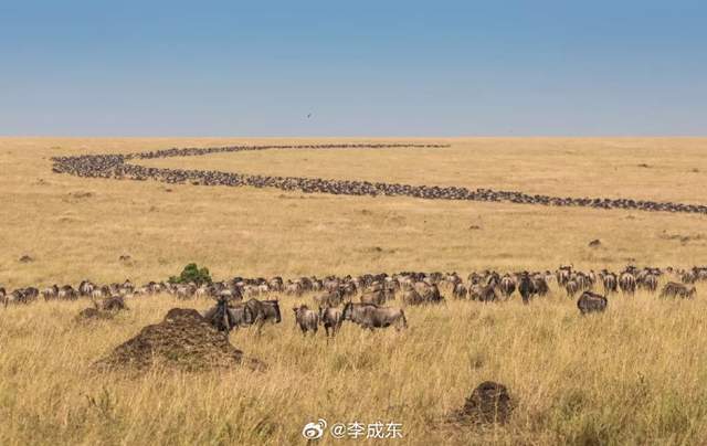 搞大农业的未来机会：3000多万平方公里，60亿亩可耕土地