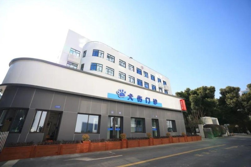 犬伤门诊正式启用，一站式服务高效便捷（附徐汇全名单）