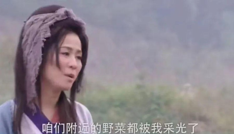 广西人又开始摘野菜了！你会吃吗？