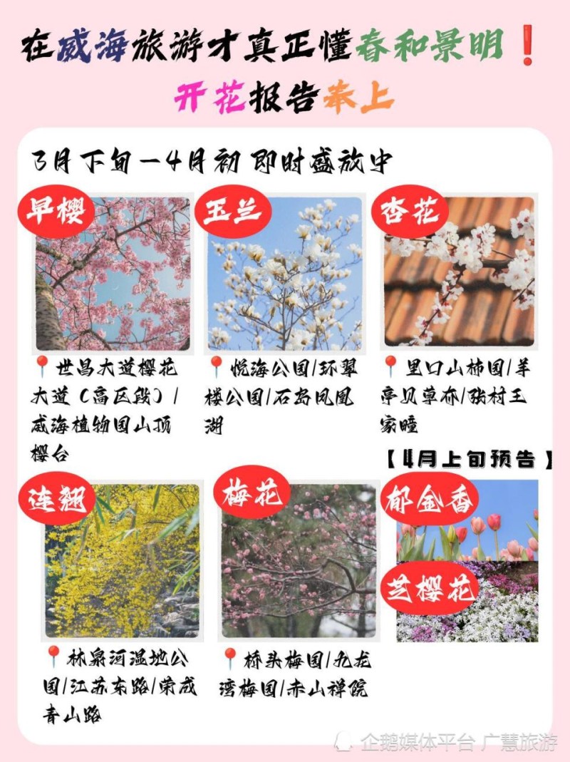 威海攻略，海鲜与美食旅行指南