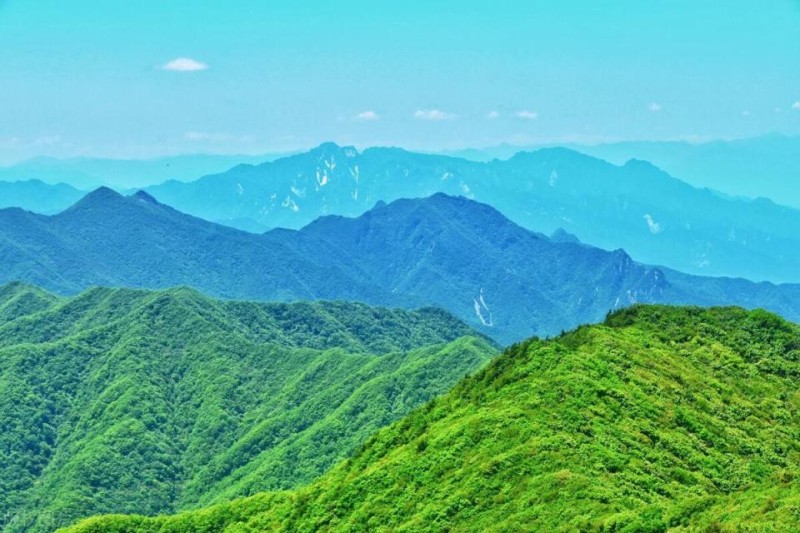 去年秦岭陕西段生态质量指数达“一类”最高类别