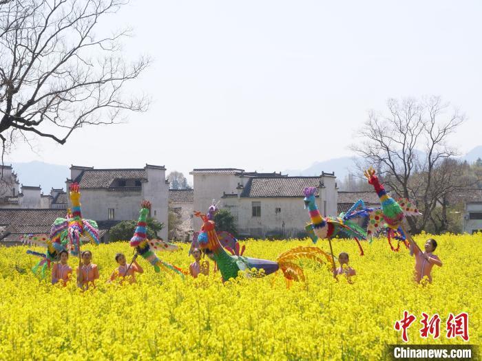 春日卢村·赏花乐宴：花海为幕，奏响乡村振兴艺术乐章
