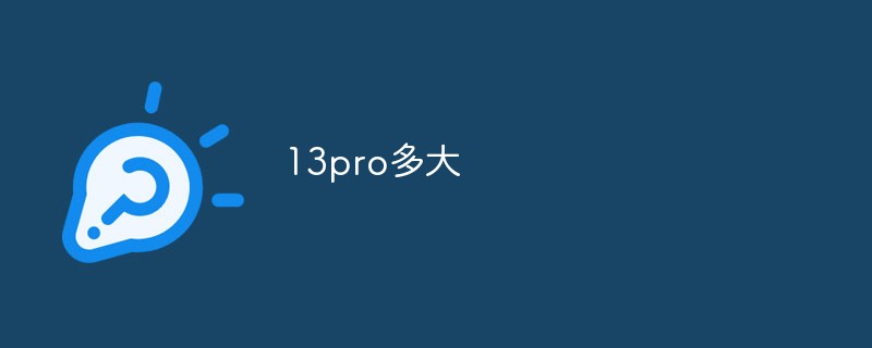 13pro多大