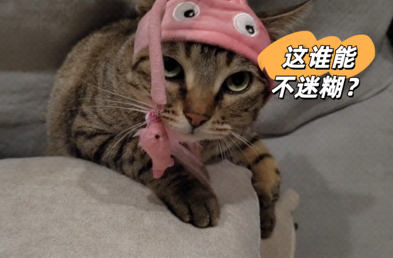 近期频发！浙江已有人上当我的手机号「近期频发！浙江已有人上当」