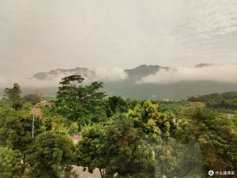 是什么令我下定的决心，从果粉转站米粉，最后成为花粉？