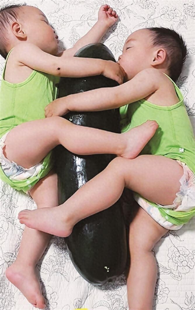 抱冬瓜睡觉能降温解暑？中医师提醒：并非人人适合，这类人会加重腹泻→