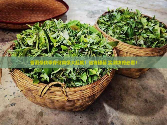 普洱茶秋季如何存储