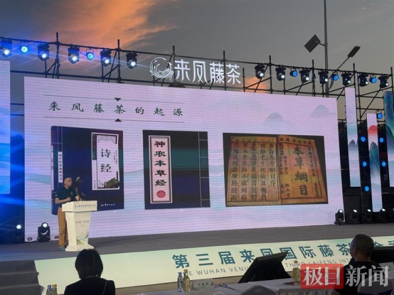 第三届来凤国际藤茶大会丨纳入医保！湖北中医药大学专家点赞来凤“长寿茶”