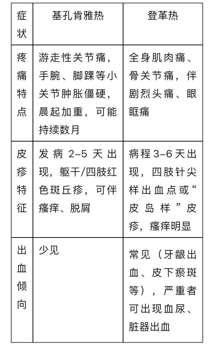 健康微课丨发烧？皮疹？疼痛？基孔肯雅热、登革热典型症状自查指南来了