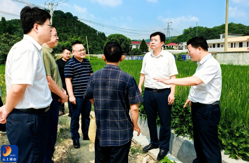 吴涛督导高标准农田项目建设专项整改工作时强调：以最严标准抓整改 筑牢粮食安全根基