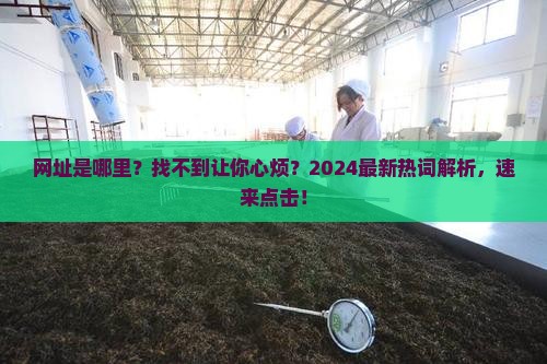 台湾普洱茶网官网网址