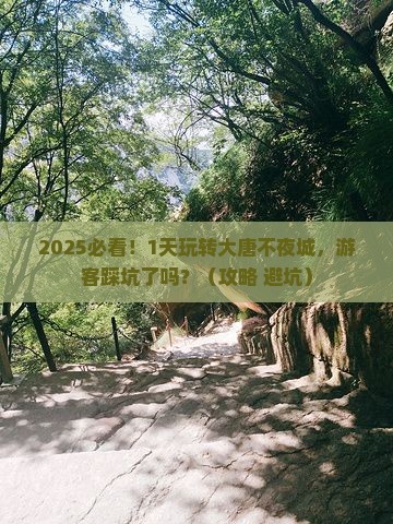 夏天去西安大唐不夜城一日游
