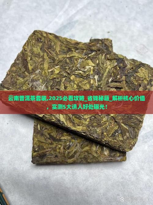 云南普洱茶套装