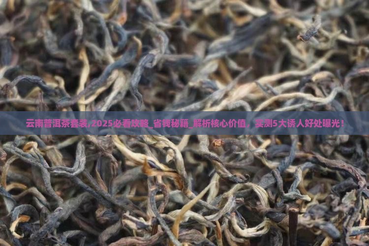 云南普洱茶套装