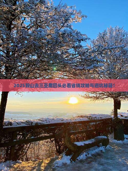 2025鞍山去三亚鹿回头必看省钱攻略与避坑秘籍！