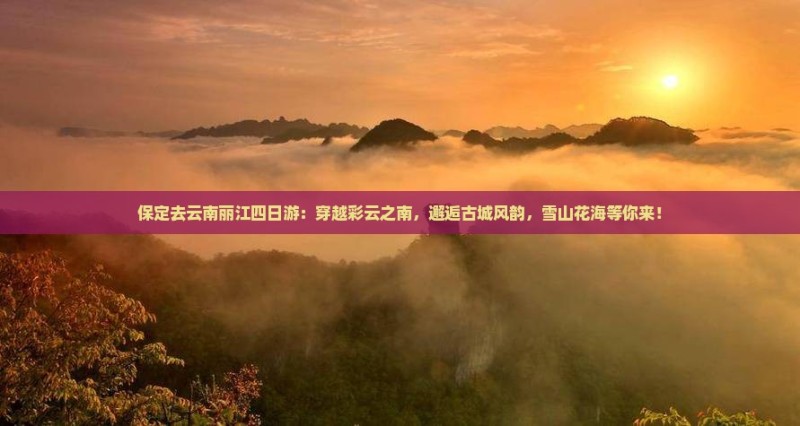 保定去云南丽江四日游：穿越彩云之南，邂逅古城风韵，雪山花海等你来！