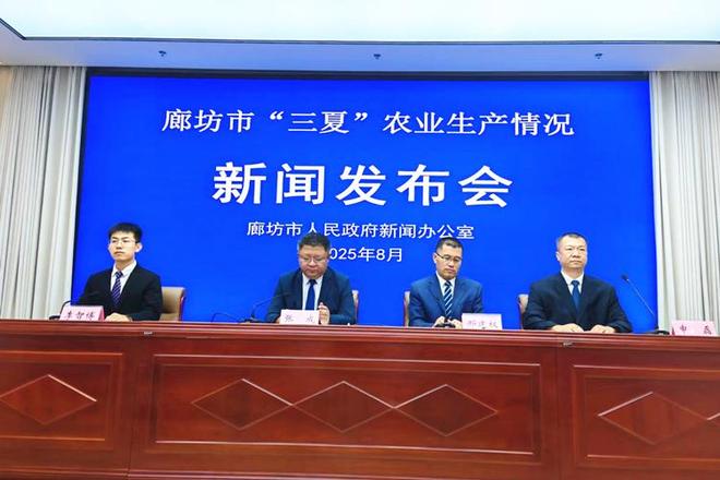 廊坊夏粮单产实现连续第三年增长