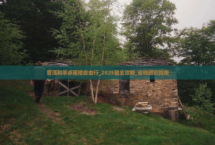 普洱到羊卓雍措自由行_2025最全攻略_省钱避坑指南