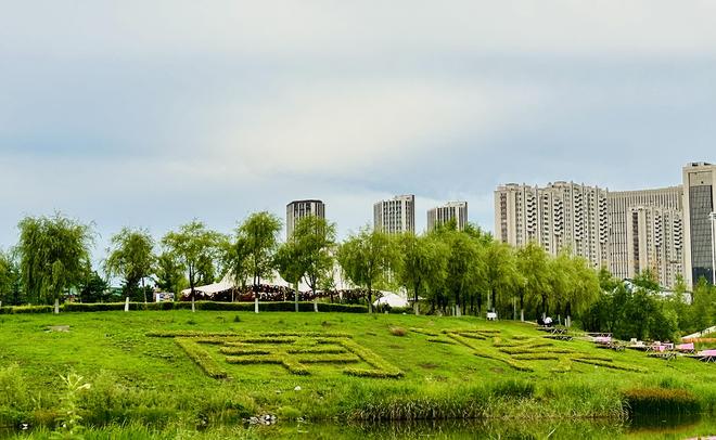 迹露·光影岛 于南溪湿地隐秘佳境撑起自己的星空