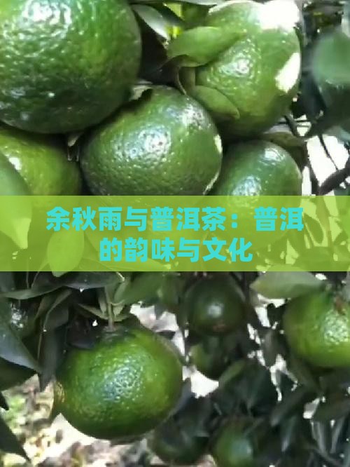 余秋雨与普洱茶