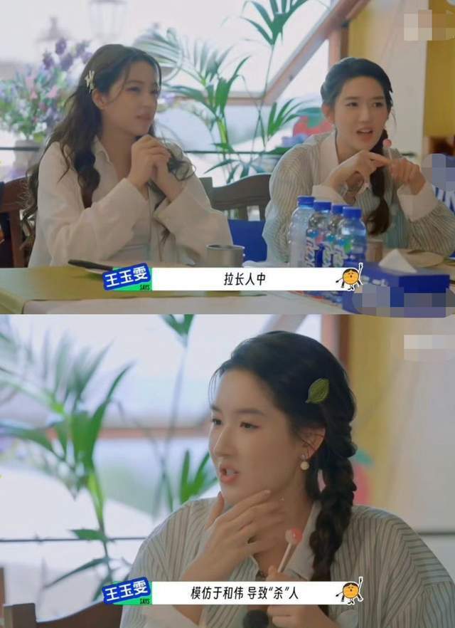 王玉雯的嘴是淬了毒，称李乃文是长脸于和伟，笑称陈赫瘦时是丑帅
