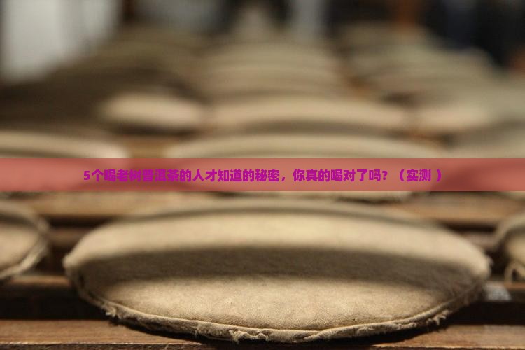 老树普洱茶的功效
