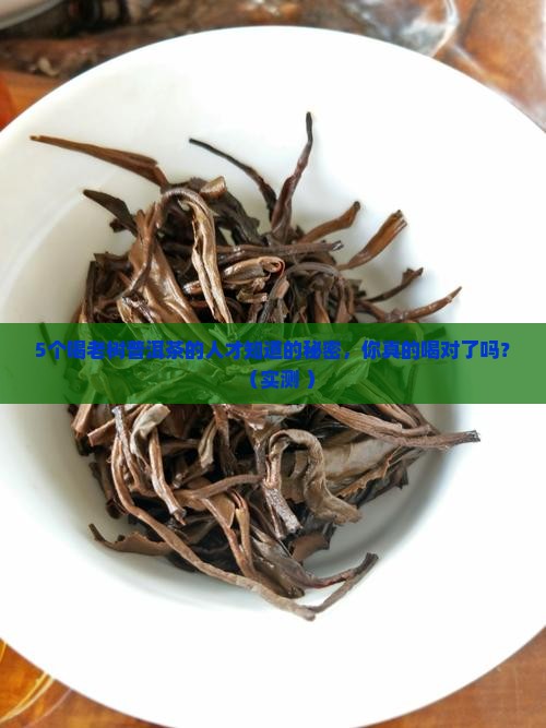 老树普洱茶的功效