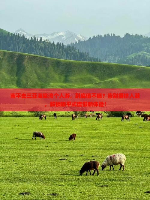 南平去三亚海棠湾个人游，到底值不值？告别拥挤人潮，解锁躺平式度假新体验！