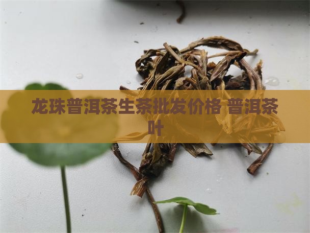 头春生普洱茶龙珠