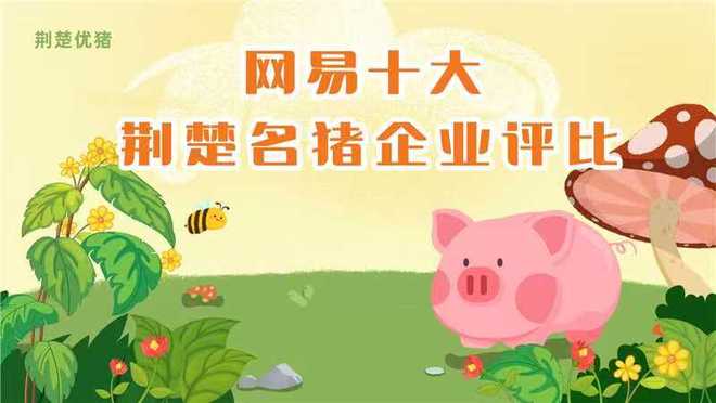 网易十大荆楚名猪企业评比