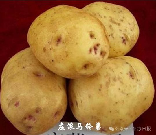 喜报！庄浪县1个农产品地理标志获国家地理标志产品认定