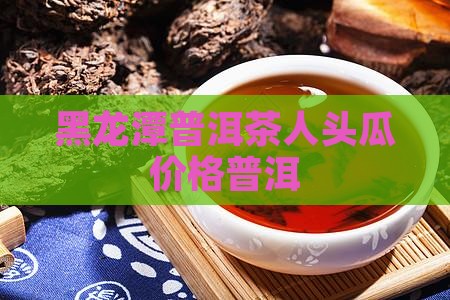 黑龙潭人头瓜普洱茶