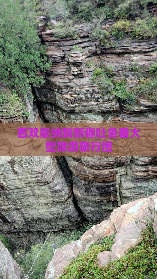 西双版纳到新疆吐鲁番大型旅游团