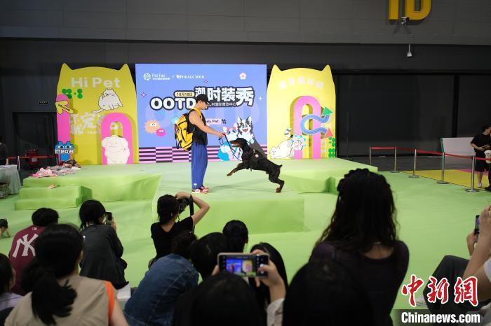 第5届(杭州)华东宠物展开幕